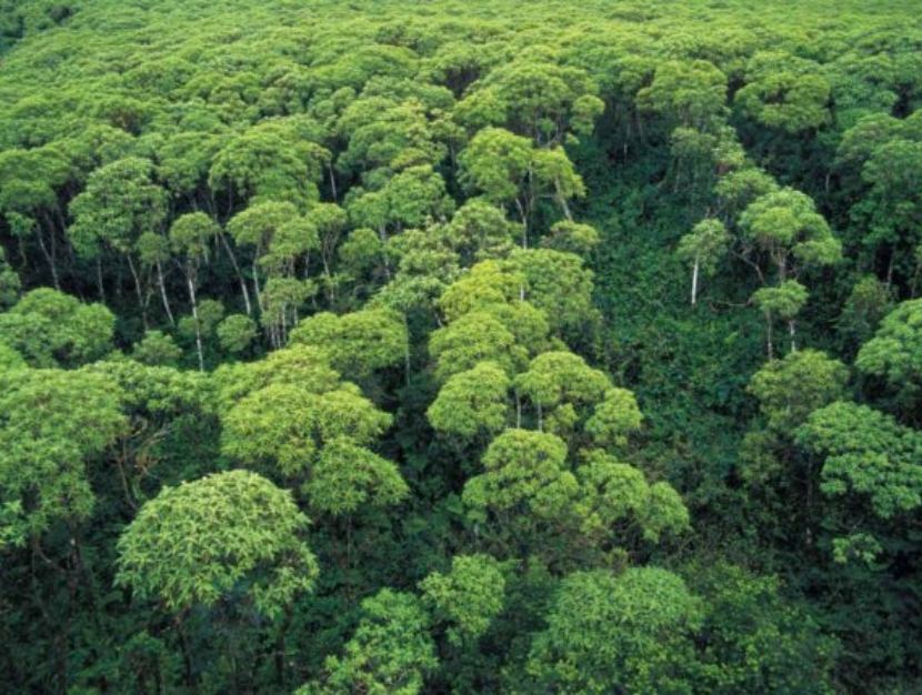 cofidur environnement